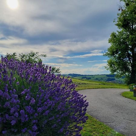 Апартаменты Unterbrandlberg Steinbach an der Steyr Экстерьер фото