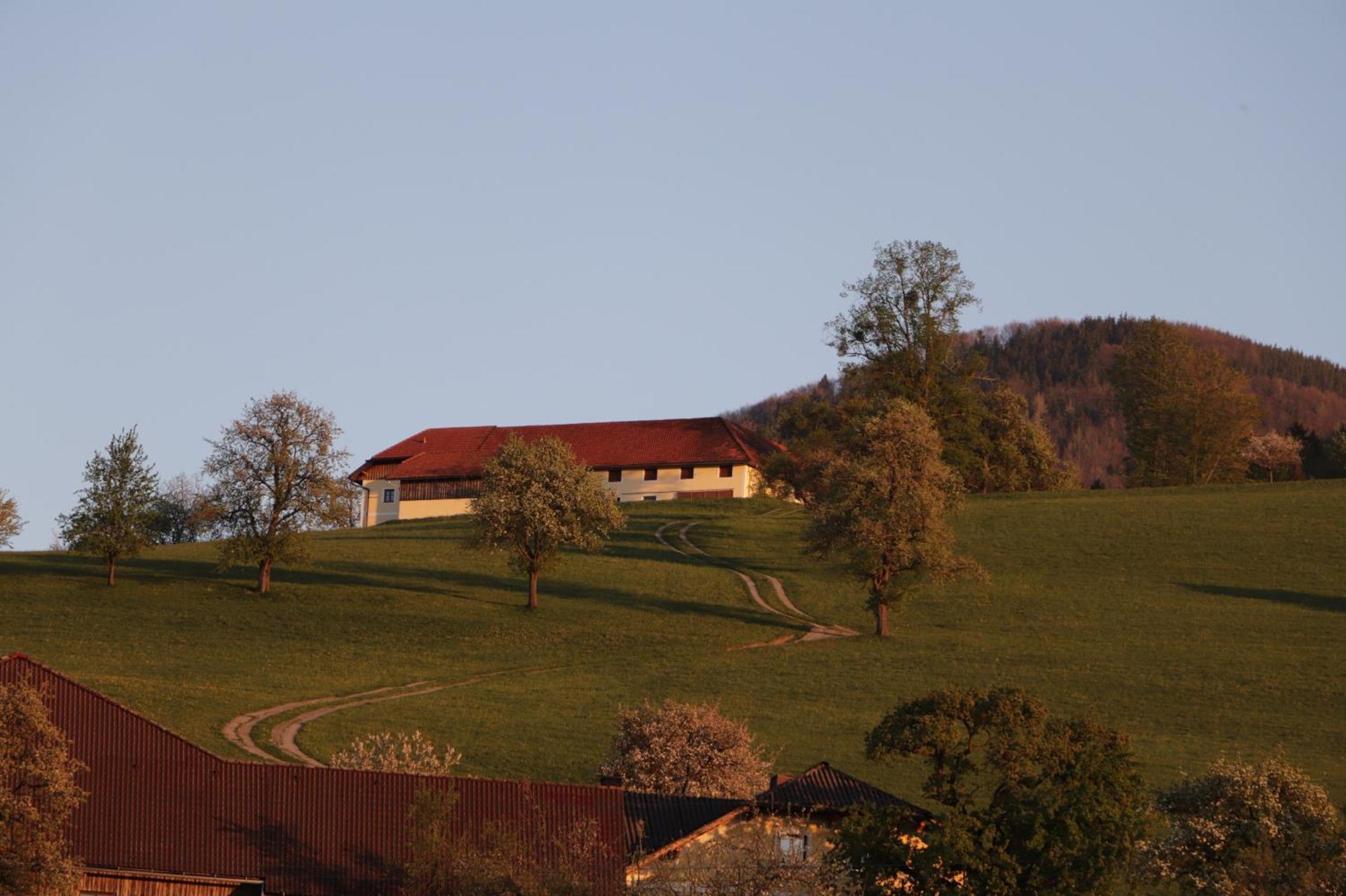 Апартаменты Unterbrandlberg Steinbach an der Steyr Экстерьер фото