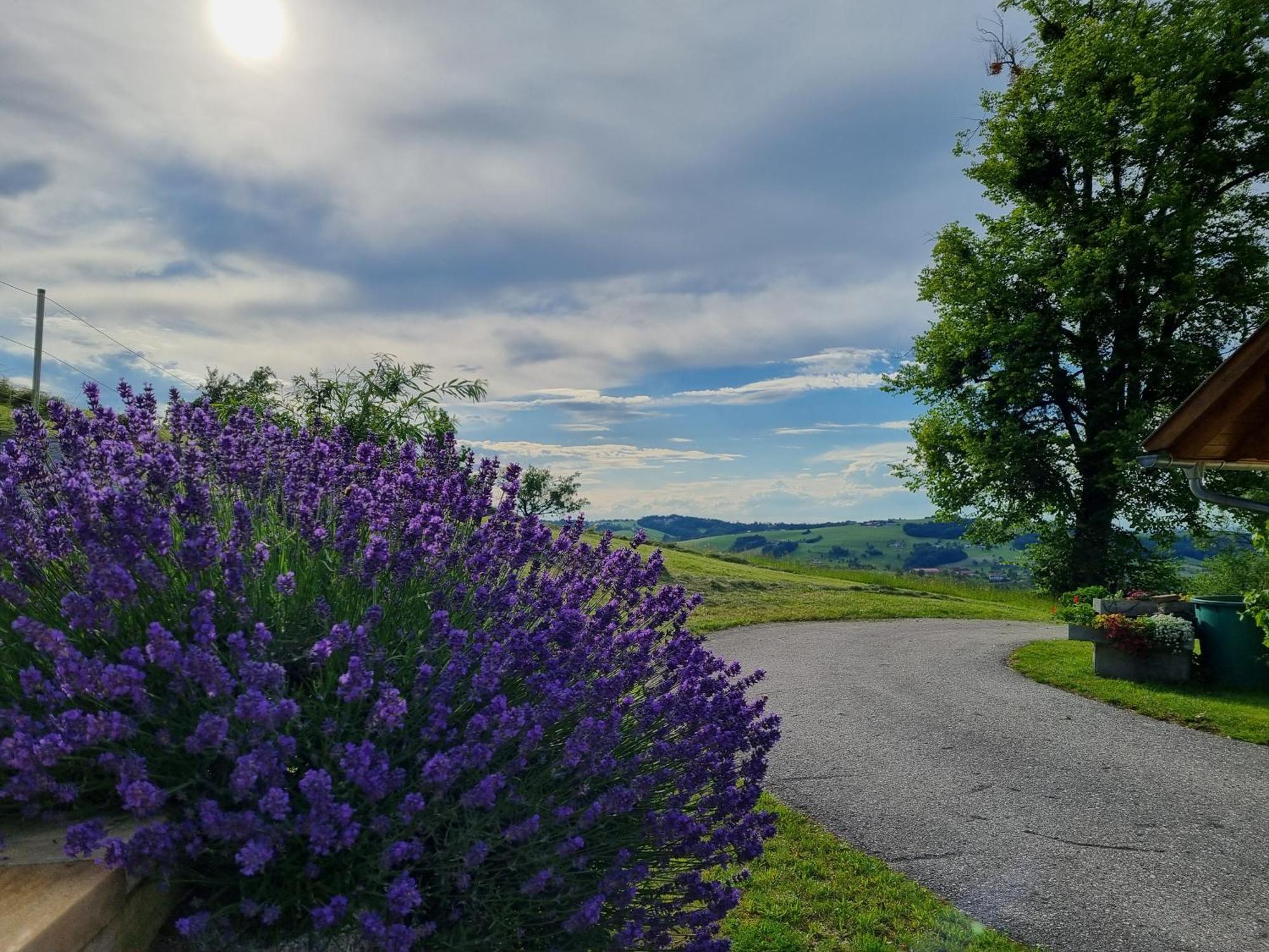 Апартаменты Unterbrandlberg Steinbach an der Steyr Экстерьер фото